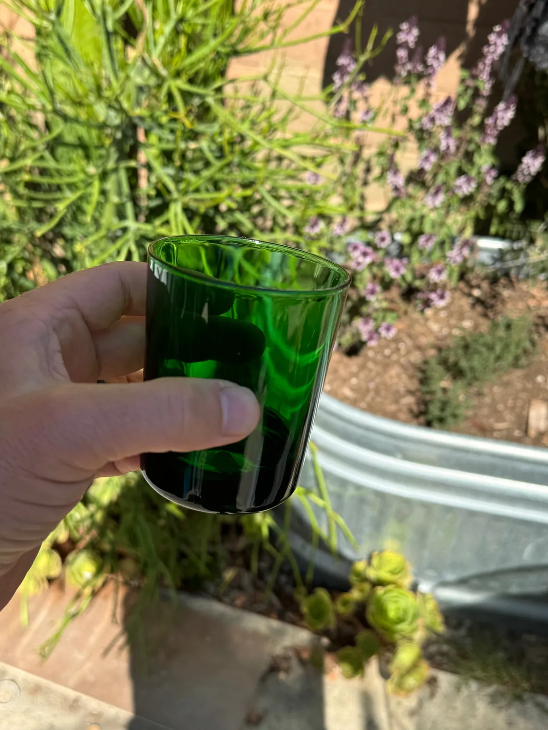 Amehla Groen Drinkglas 24cl Frankrijk