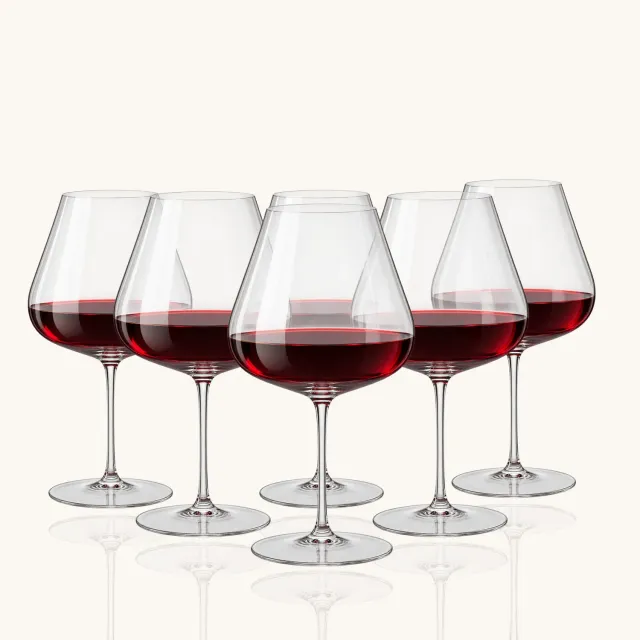 Memoire Nebbiolo wijnglazen 98 cl groot